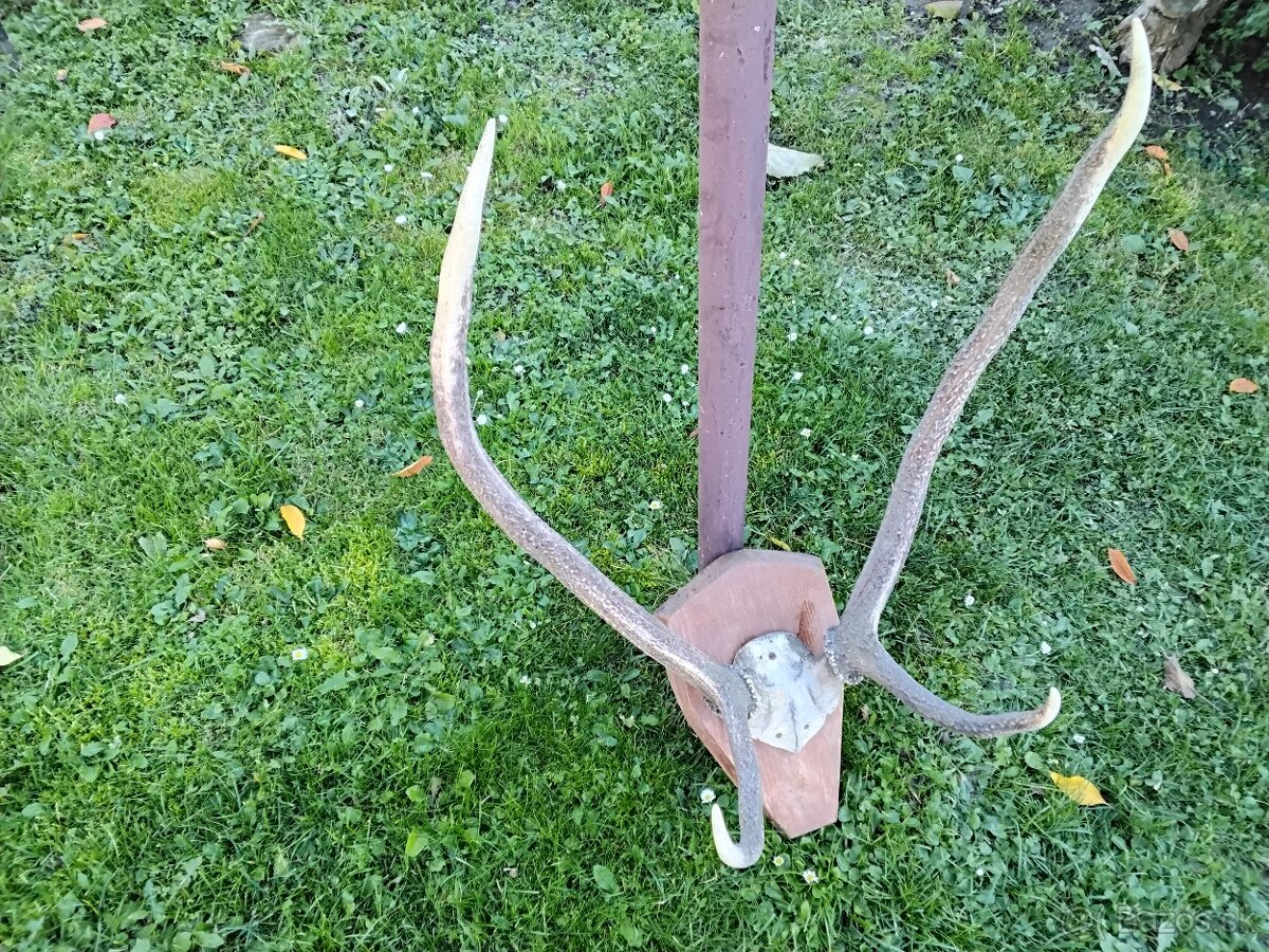 Parohy, trofej na drev.doske - 3