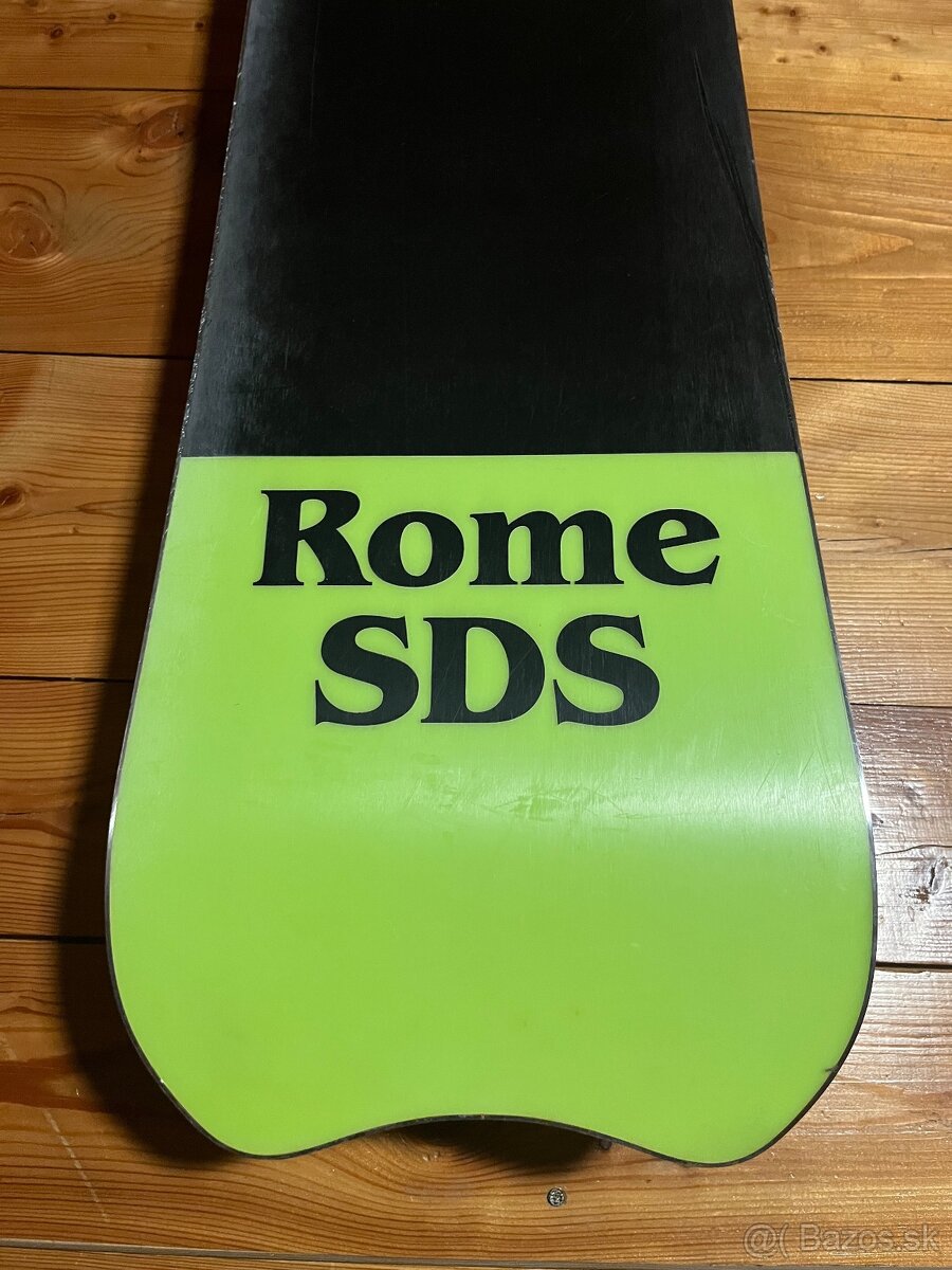 Rome Service Dog 153 - 3