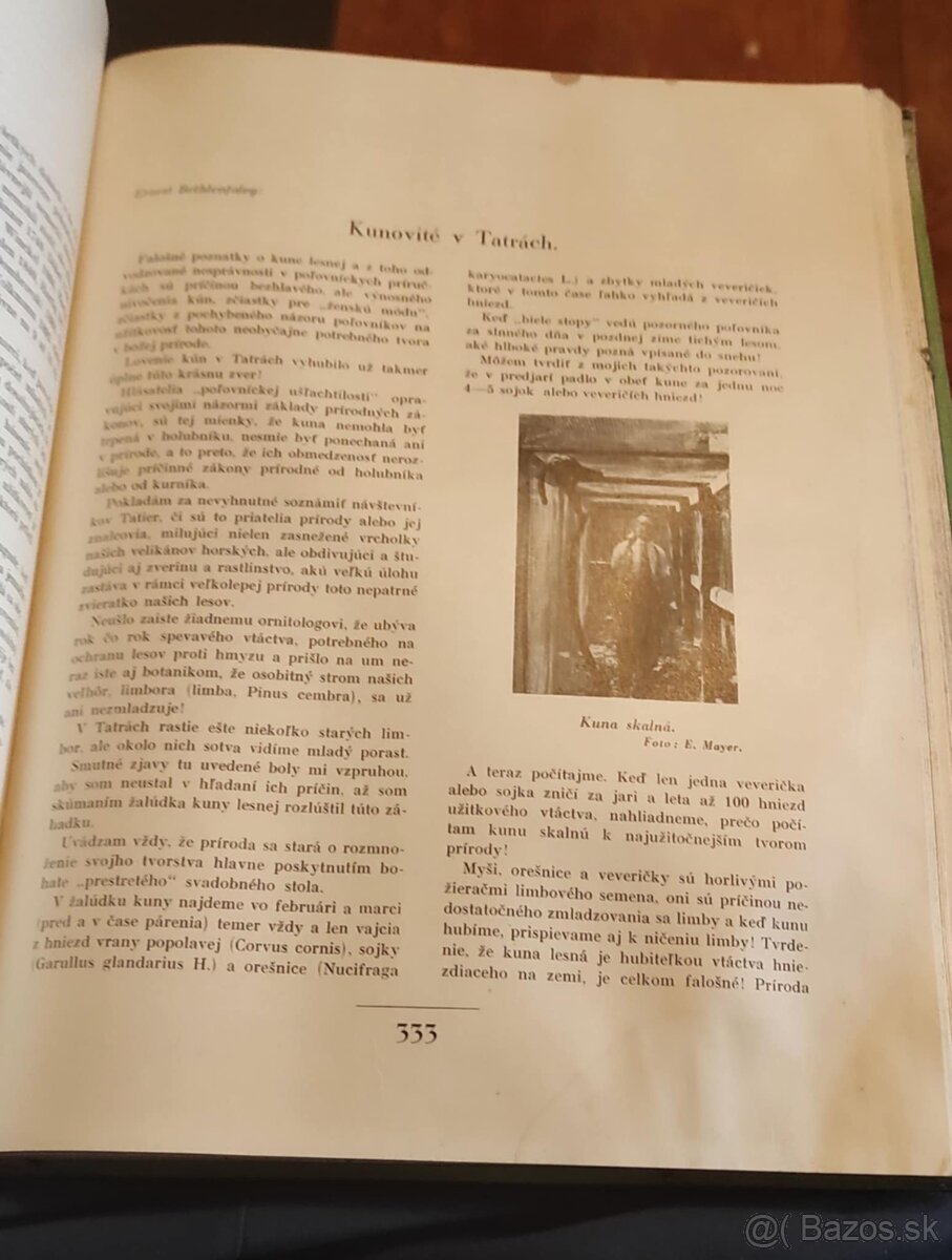 Nase polovnictvo 1935 - 3