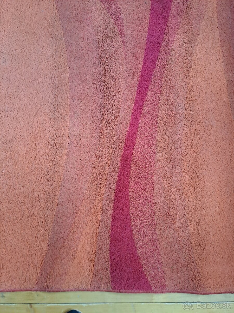 Darujem koberec - 3
