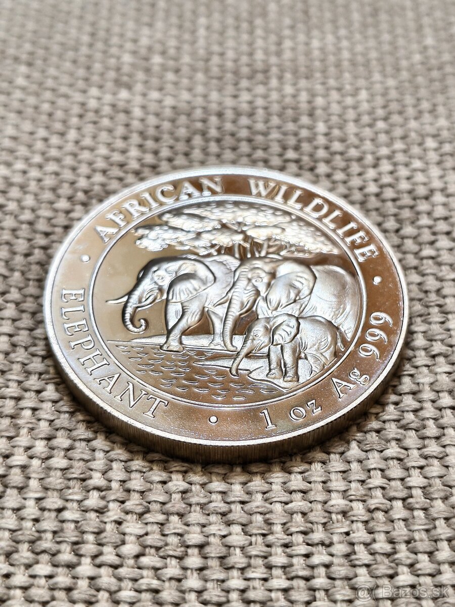 Elephant 2013, 999, 1oz - 3
