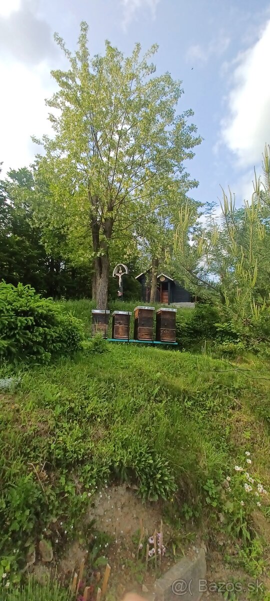 Predám agátový med - 3