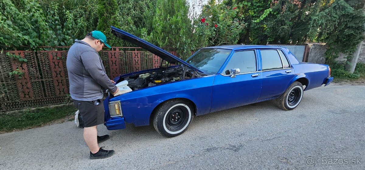 Oldsmobile Delta 88 5,7L V8 1979 - znížená cena - 3