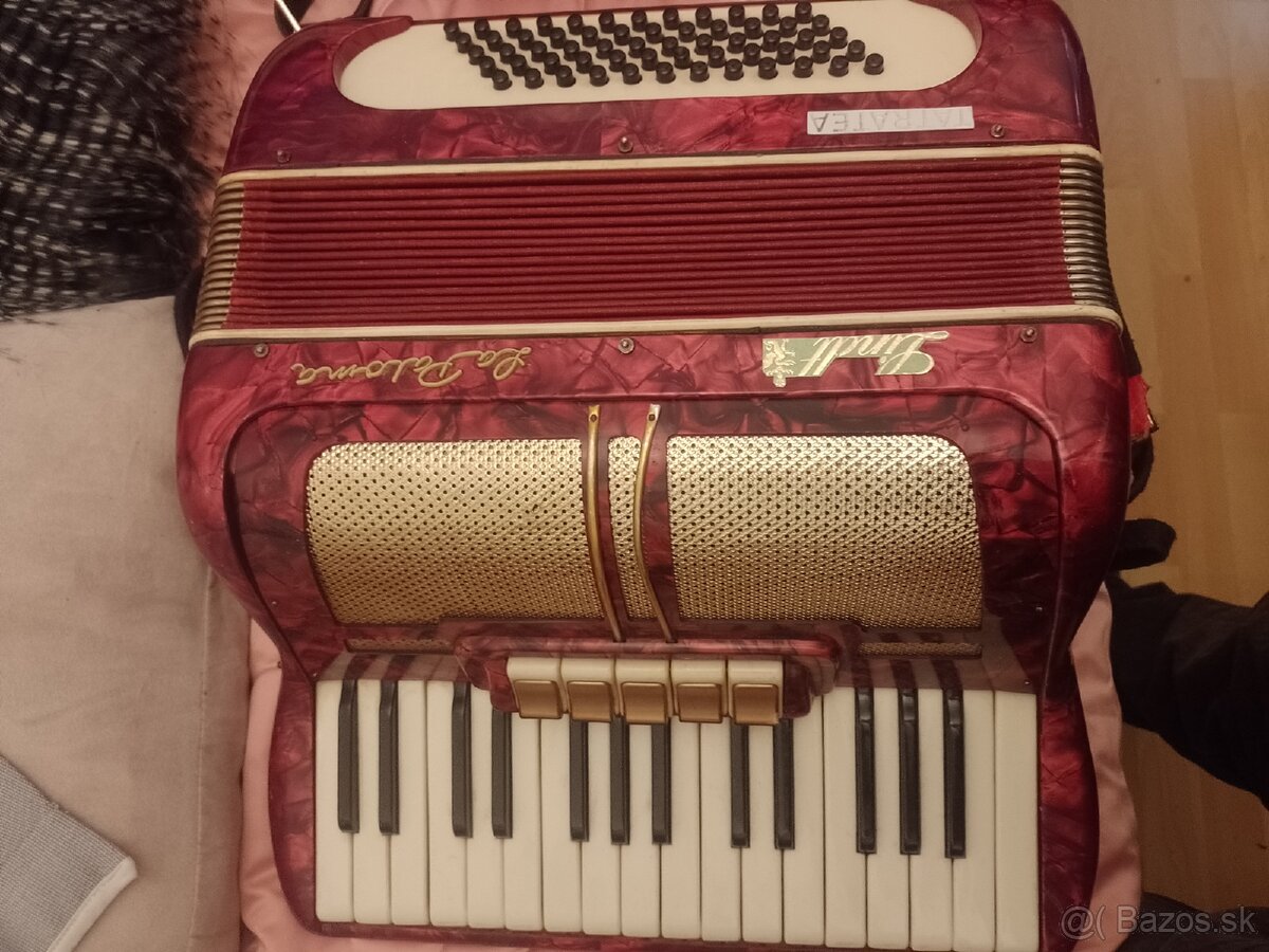 Akordeón Harmonika - 3