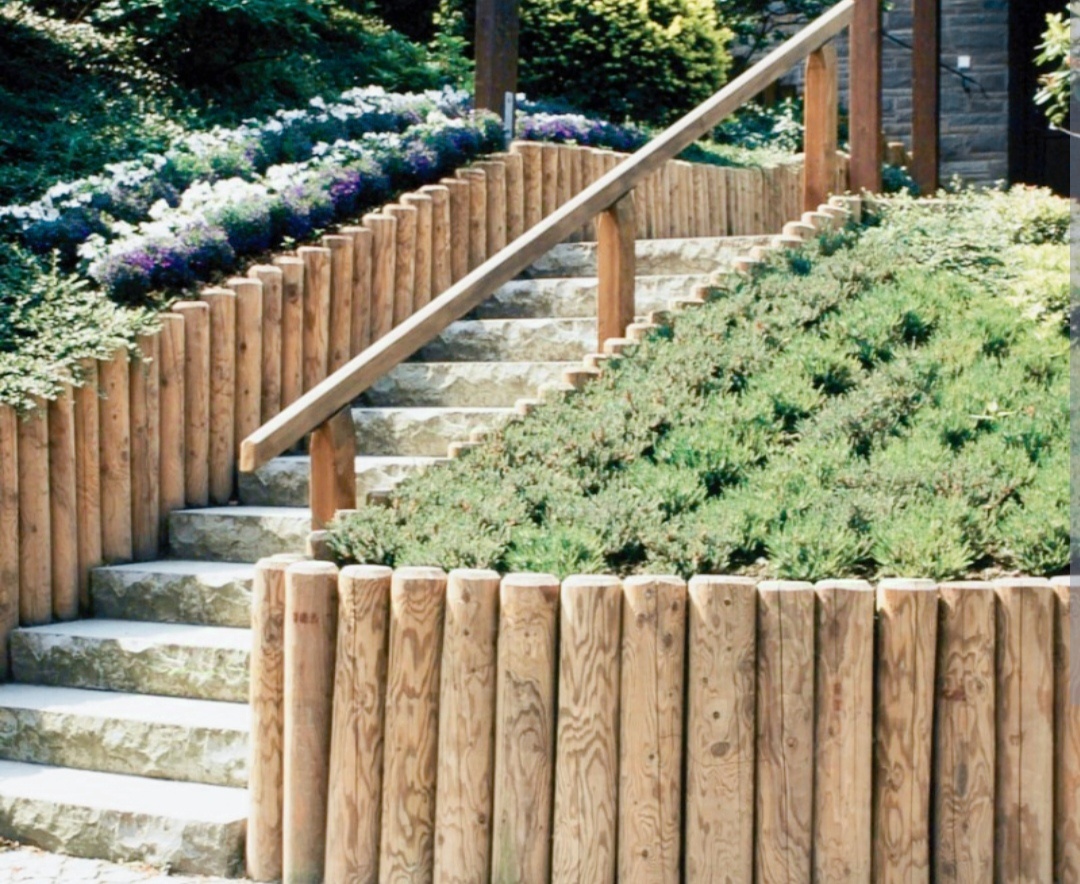 Agát, Agátové ploty - 3