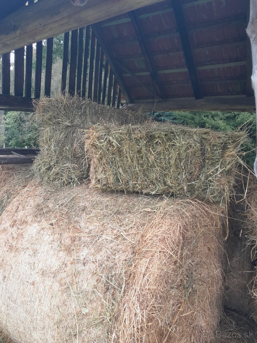 Seno malé balíky - 3