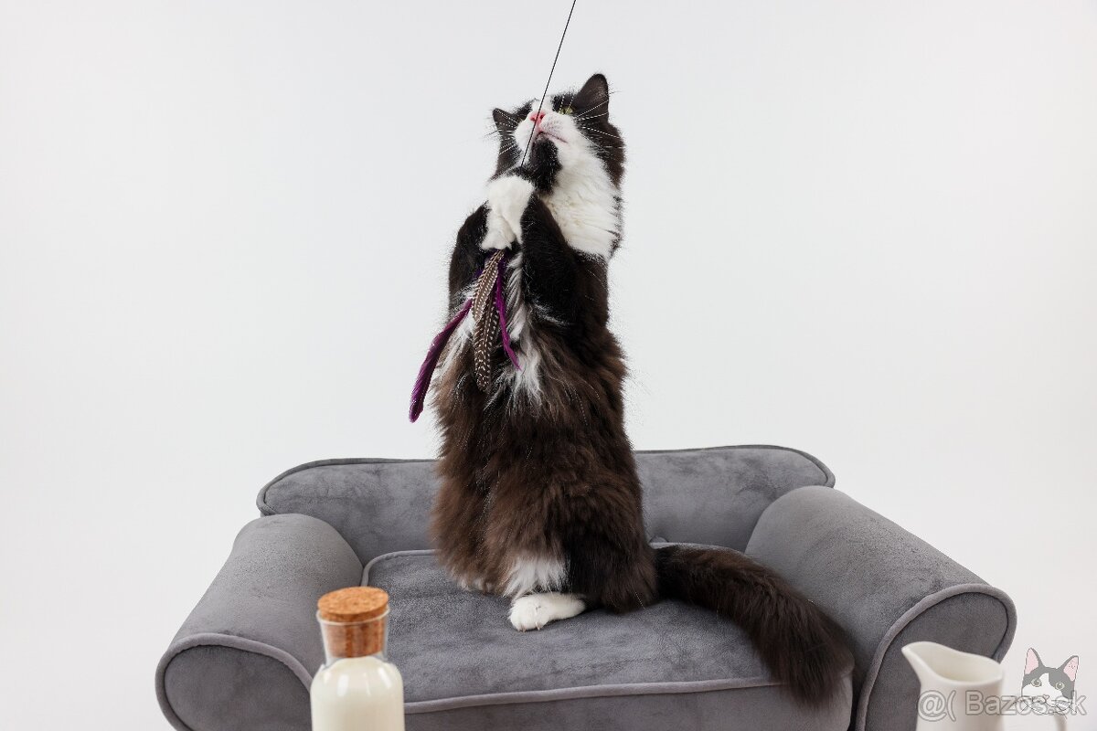 KEVIN hľadá domov - 3