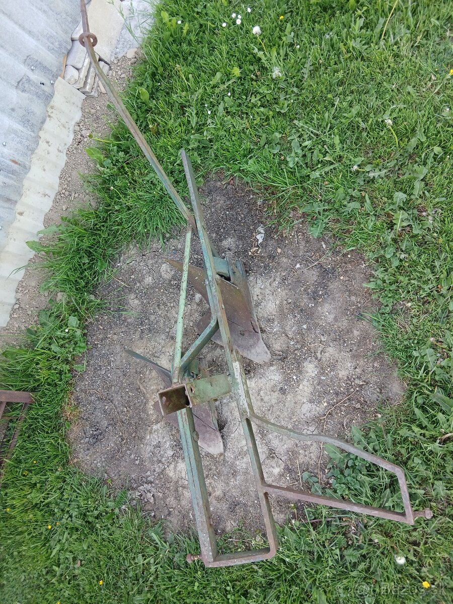 Pluh dvoj radličný - 3