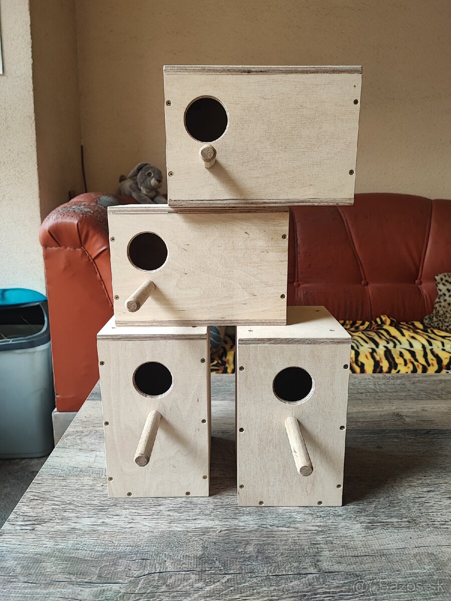 Búdka, búdky, agapornis, Andulka - 3