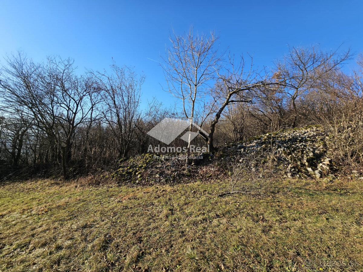 ZÁHRADA - TURŇA NAD BODVOU/ZÁDIEL - 3