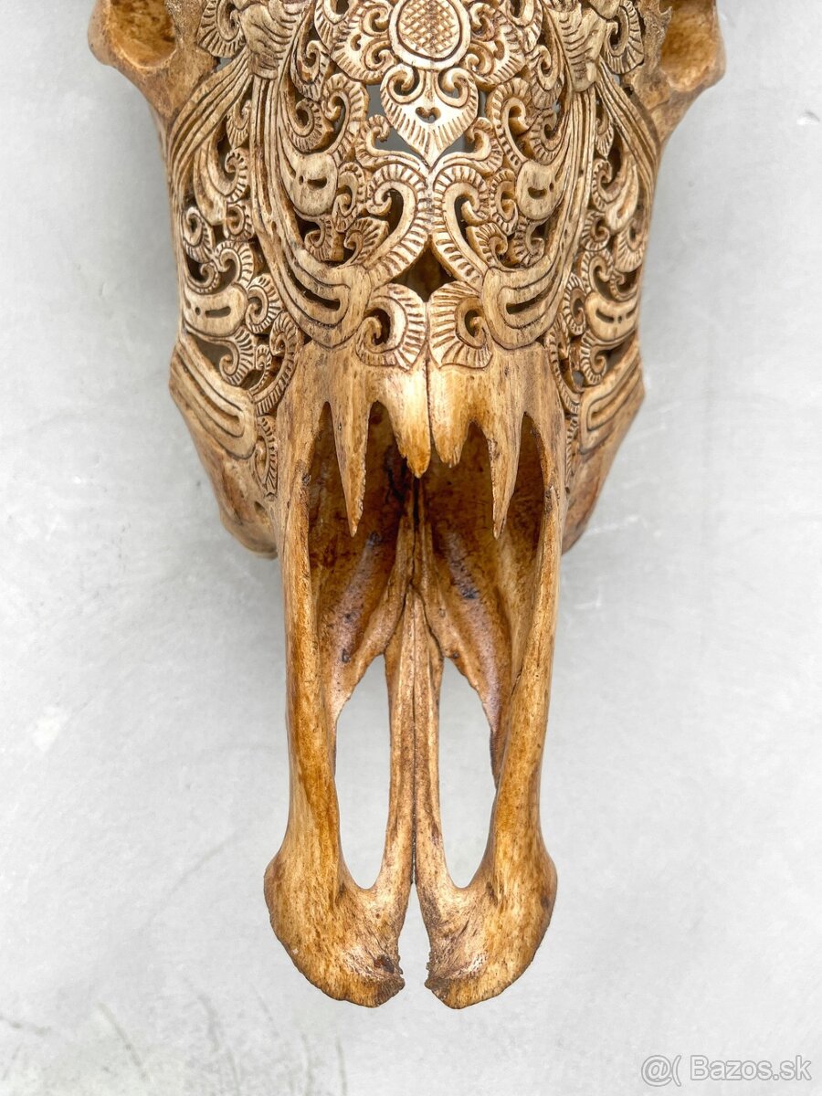 Ručne vyrezávaná lebka býka Harley Davidson, 54cm - 3