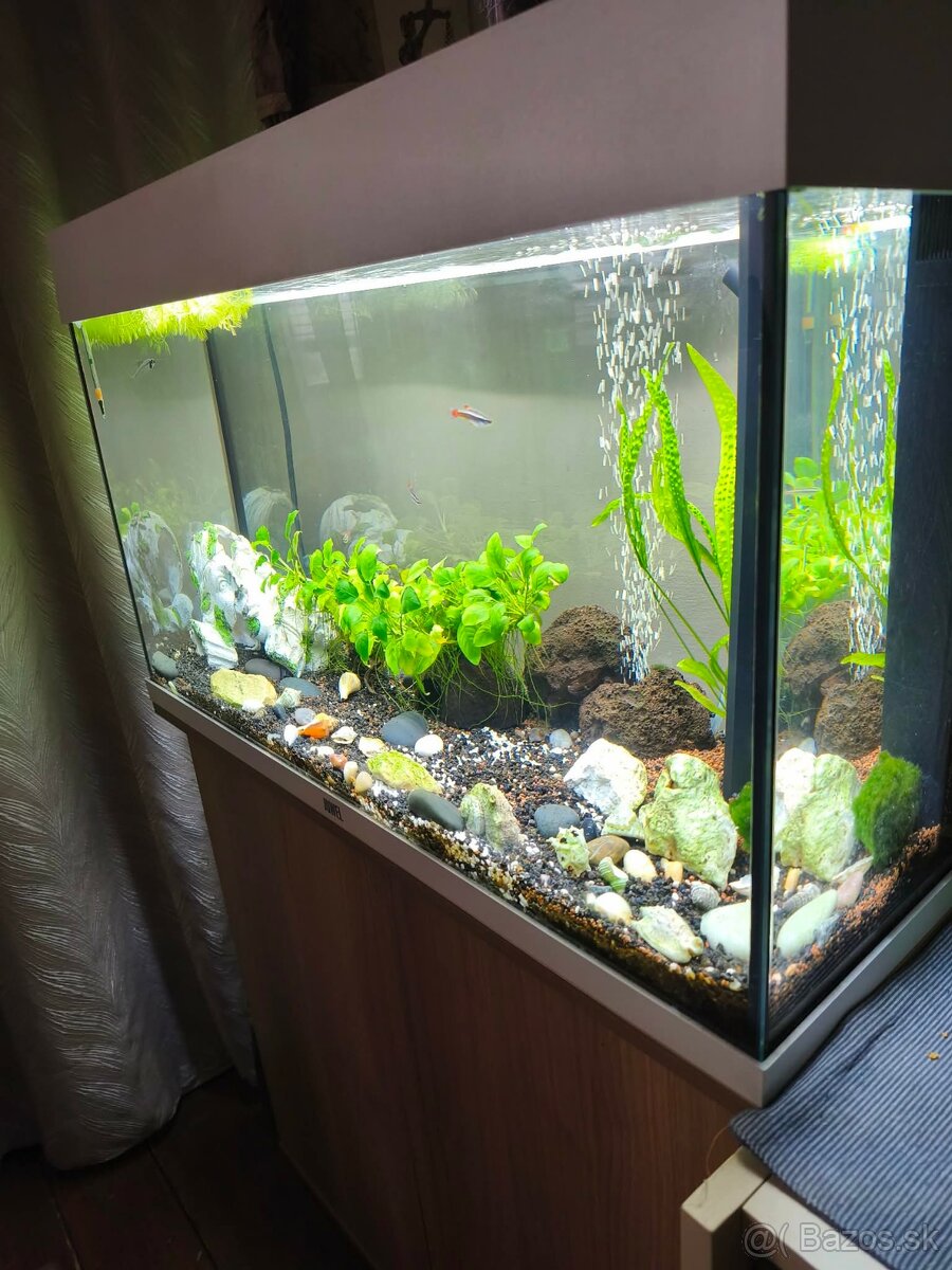 Predám akvárium - 3