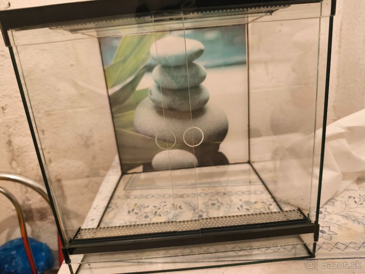 Predam sklenene terarium 30×30×30 cm - 3