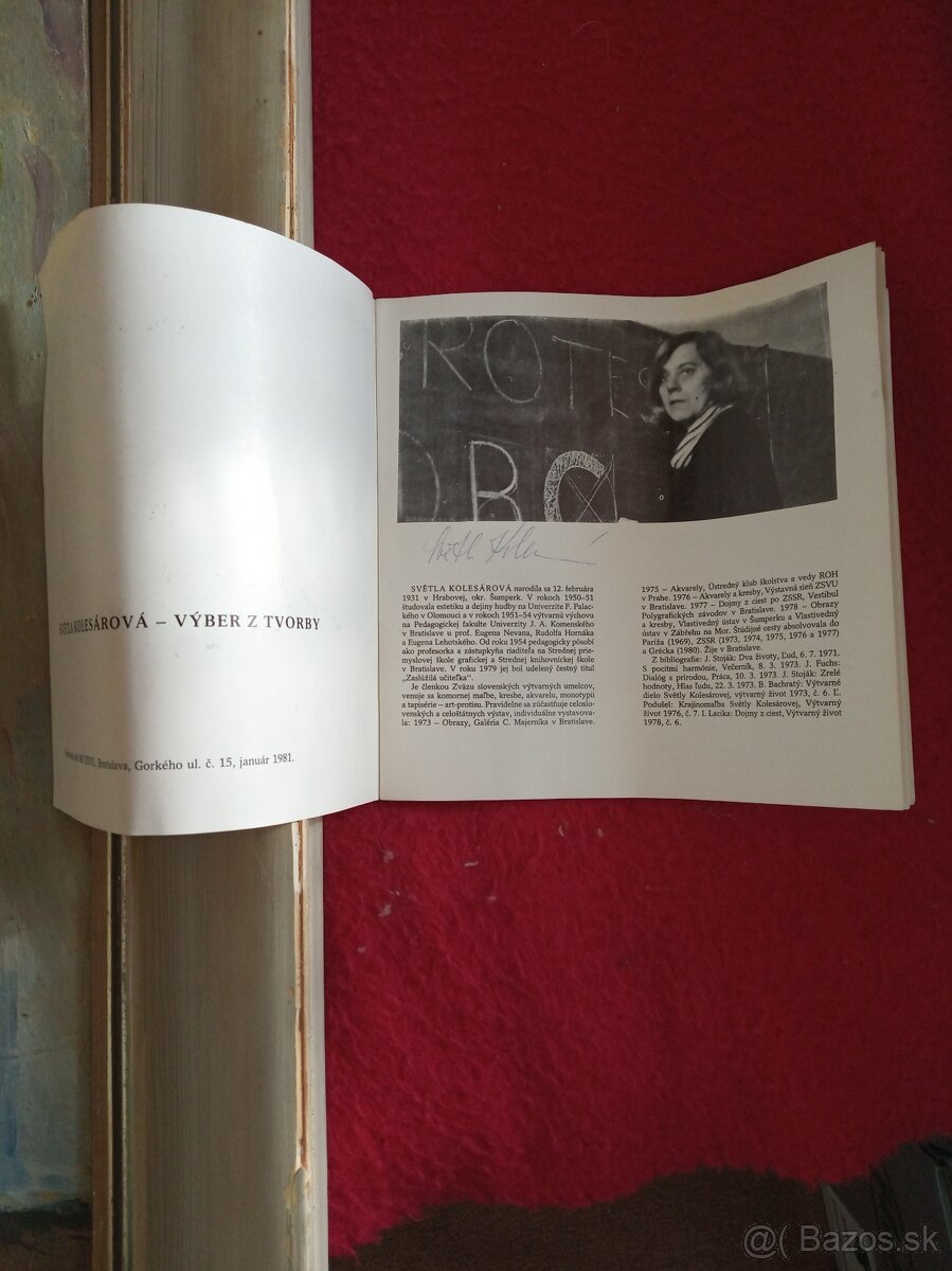 Svetla Kolesárová, obraz - 3