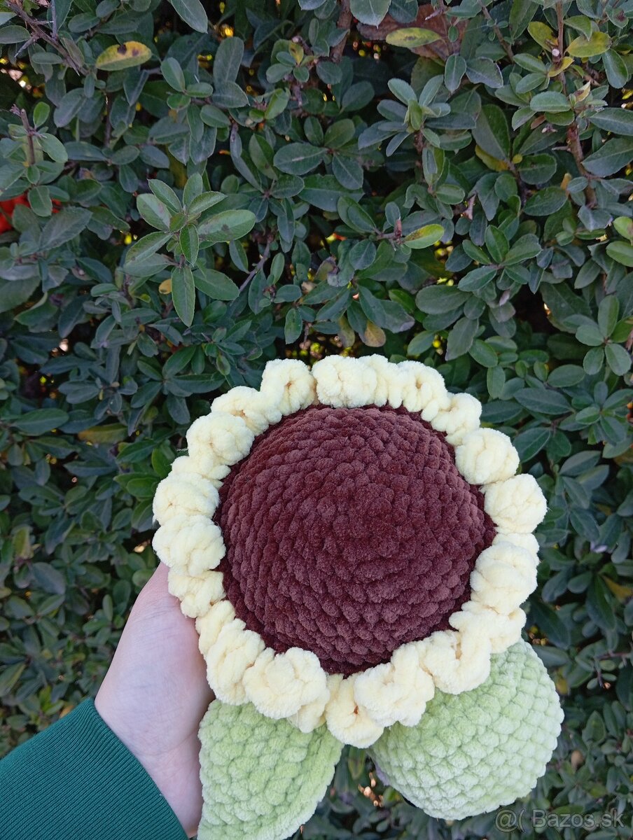 Háčkovaná korytnačka slnečnica - 3