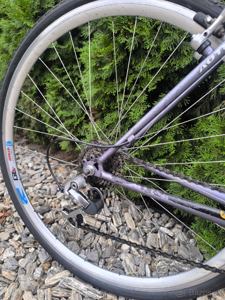 Pánsky bicykel - 3