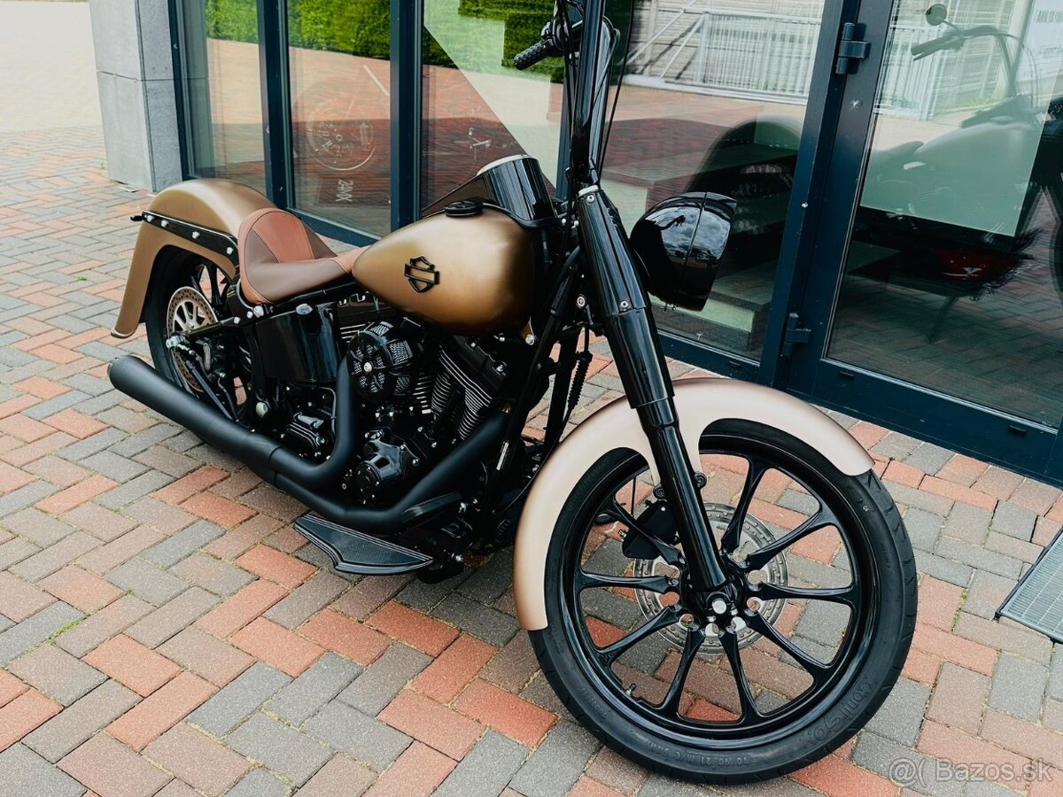 HARLEY DAVIDSON softail chicano style - 3