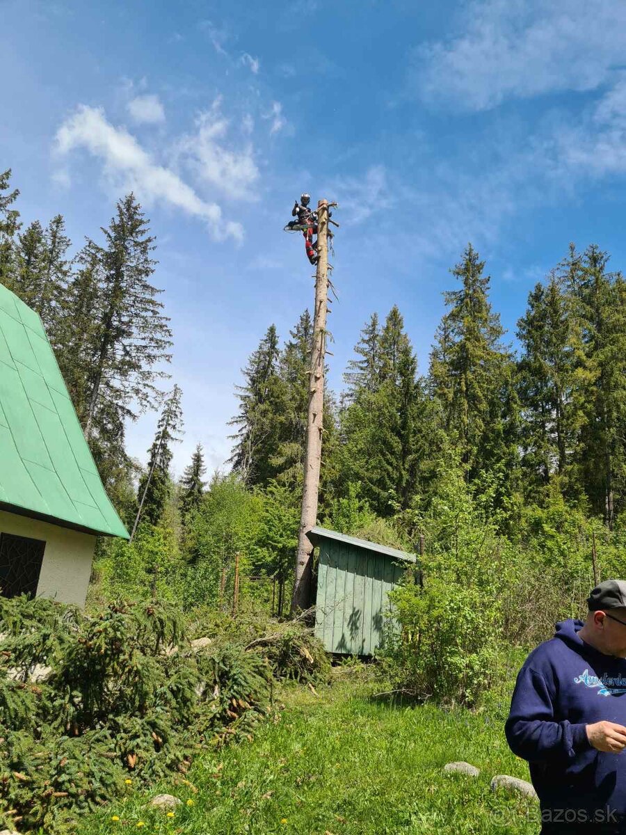 Orazávanie a výrub stromov - 3