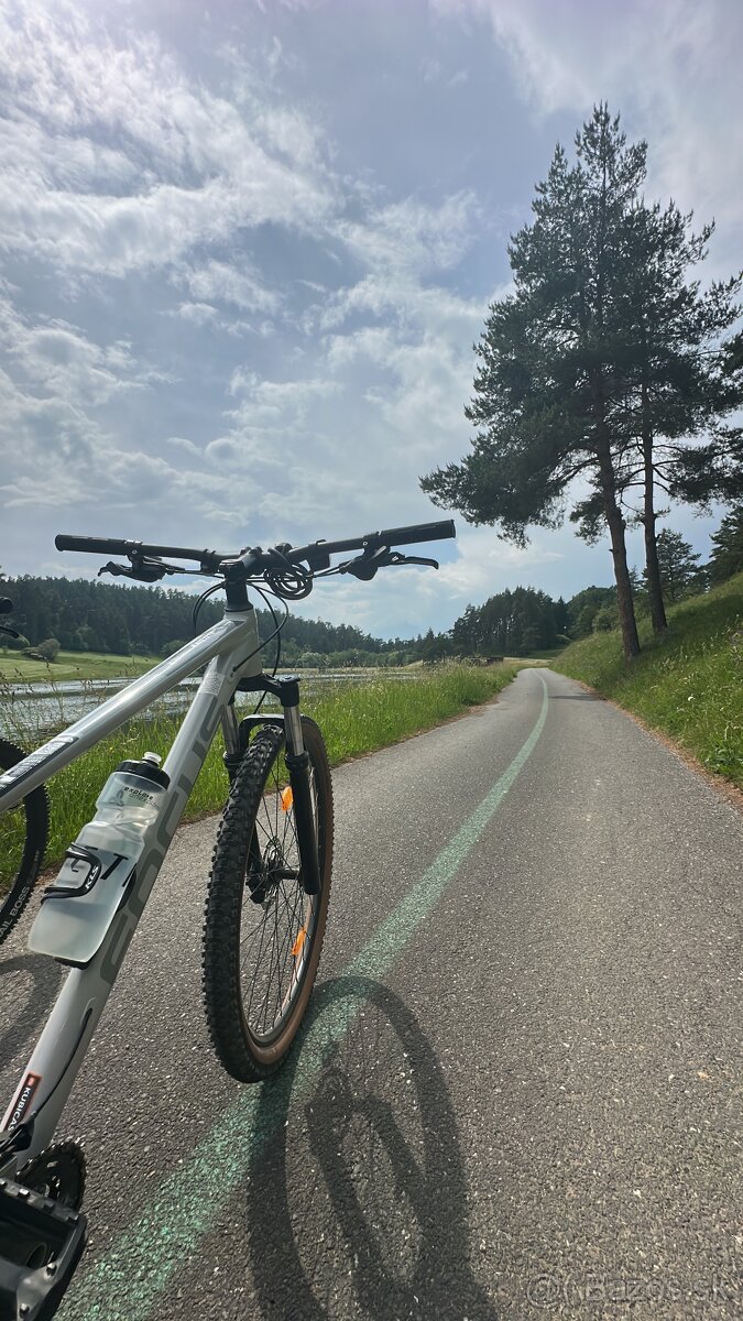 Focus whistler 3.8 - 3