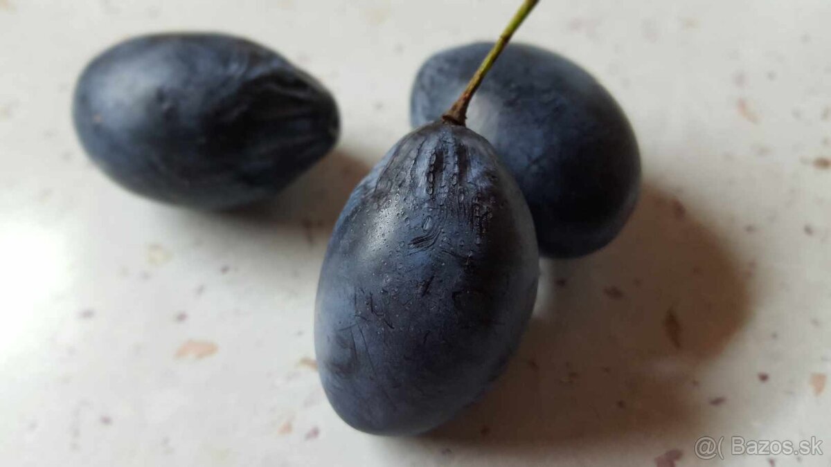 TRADIČNÝ SLIVKOVÝ LEKVÁR 100% Z BYSTRICKÝCH SLIVIEK - 3