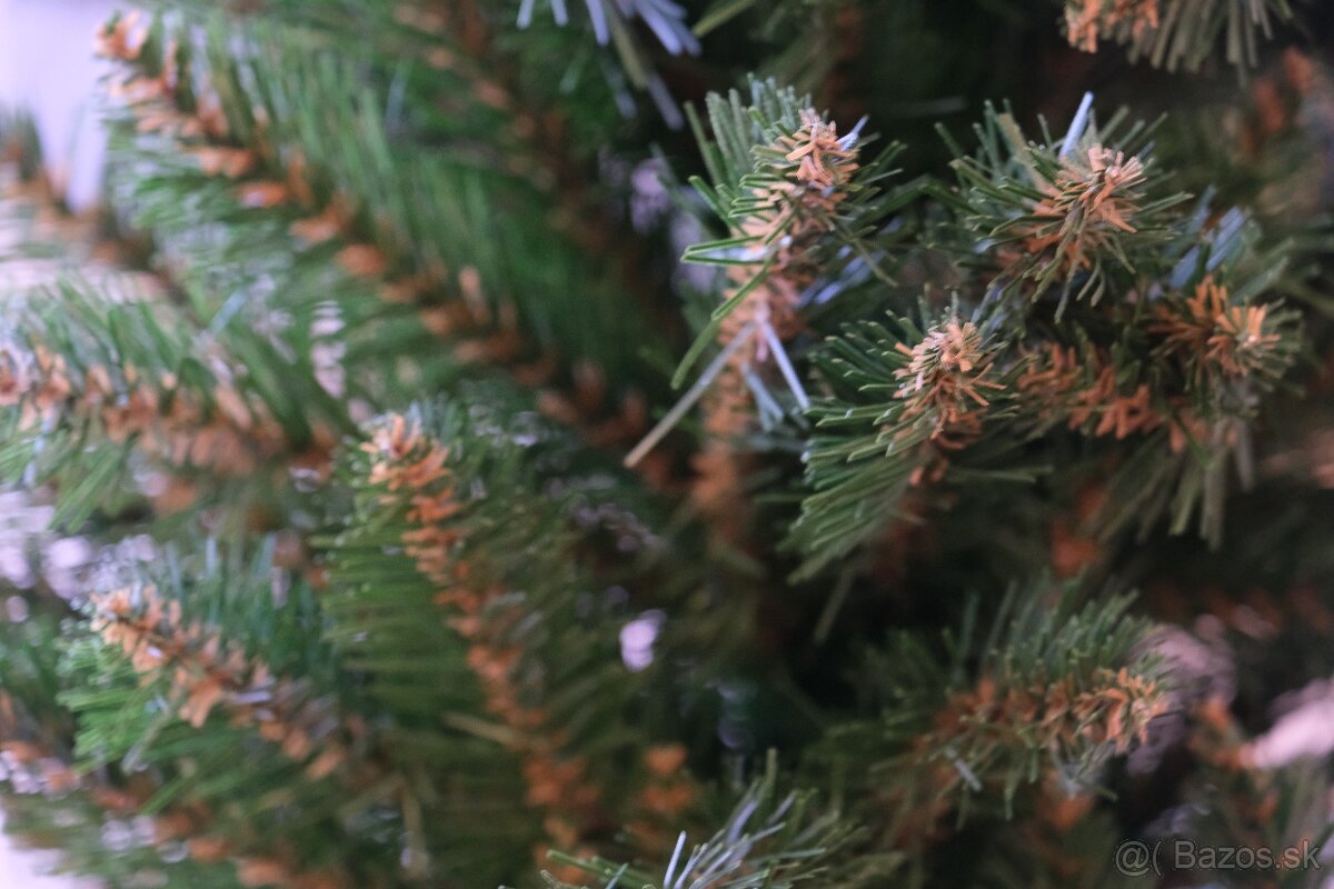 PREDÁM vianočný stromček - 3