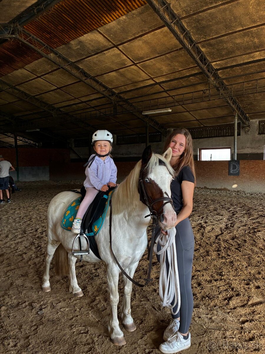 Predam pony k detom- aj do sportu. - 3