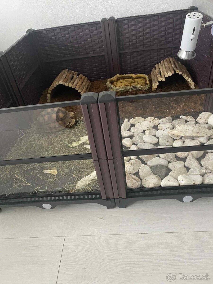 Ohradka korytnačky aj druhé zvieratká terarium - 3
