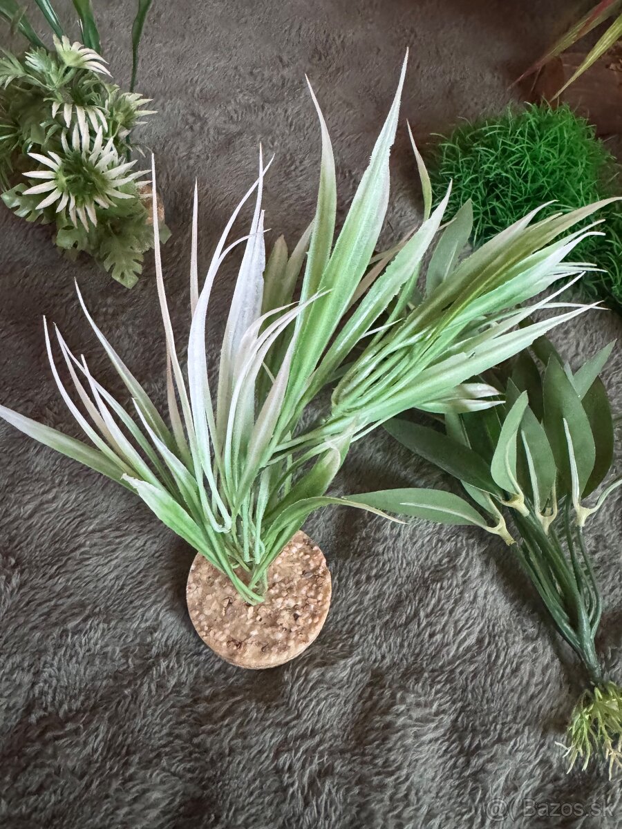 Dekoracia do akvaria & teraria 8€ / ks - 3