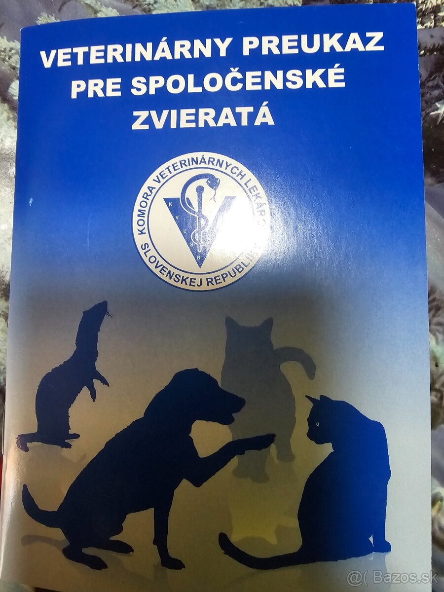 Golden Retriever - 3