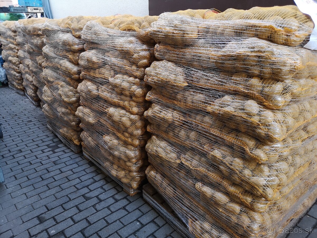 Zemiaky konzumné Soraya - 3