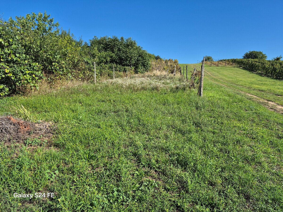 Pivničná chata v známej vinohradníckej oblasti - 3