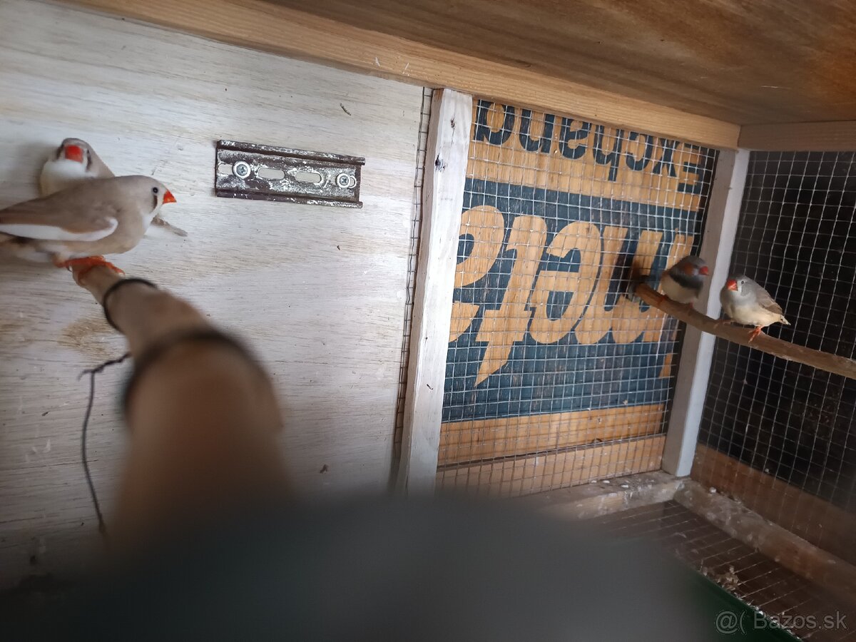 Predám zebričky - 3