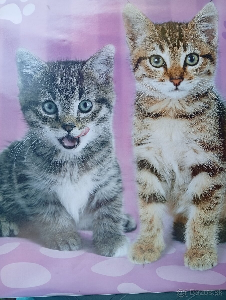 Podložka na stôl pre deti - 3