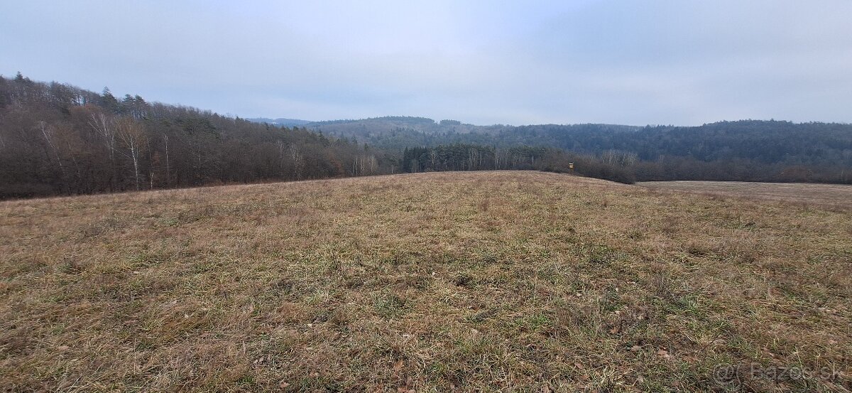 Rekreačný pozemok/orná pôda 3489m2 Holience - 3