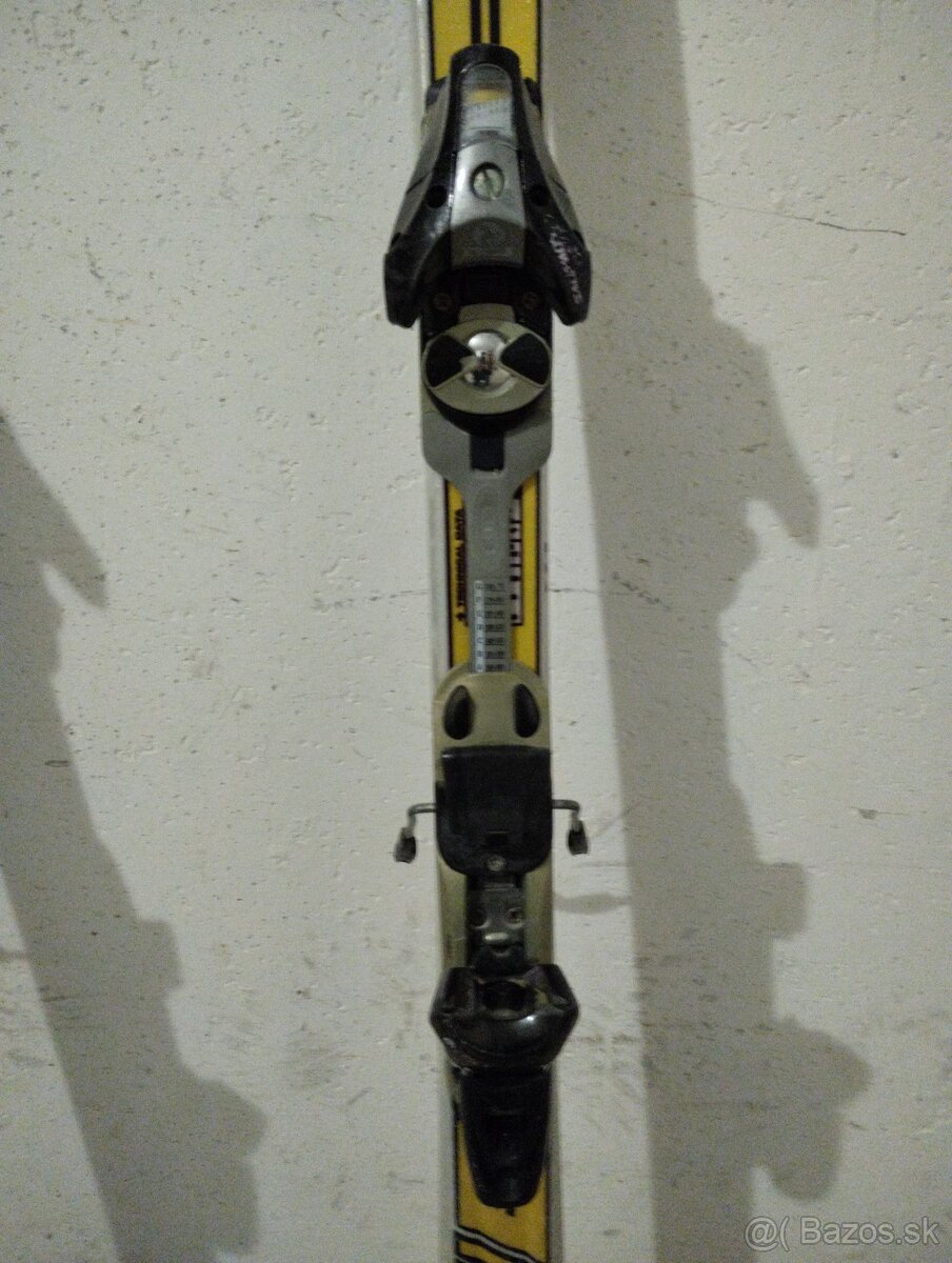 Lyže DYNAMIC + palice - 3