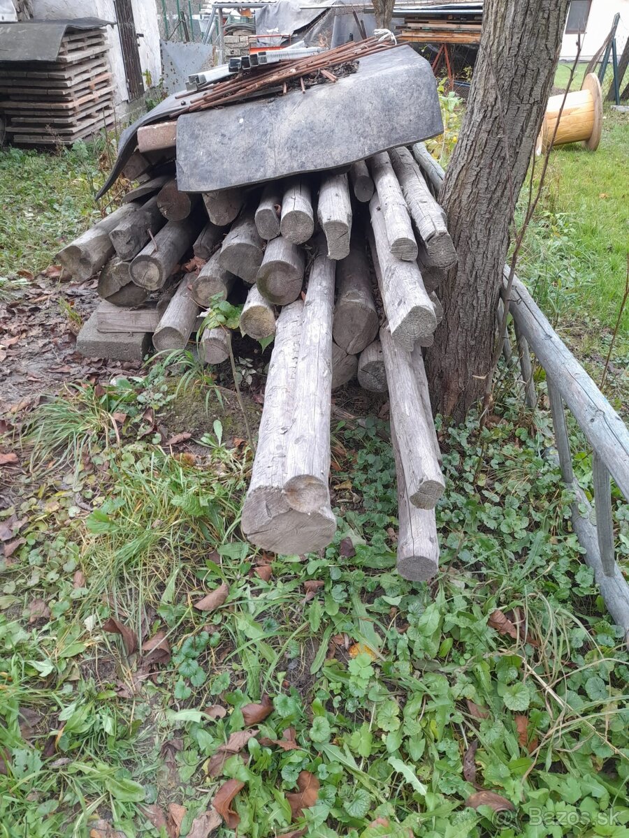 Staré drevo - guľatina - 3