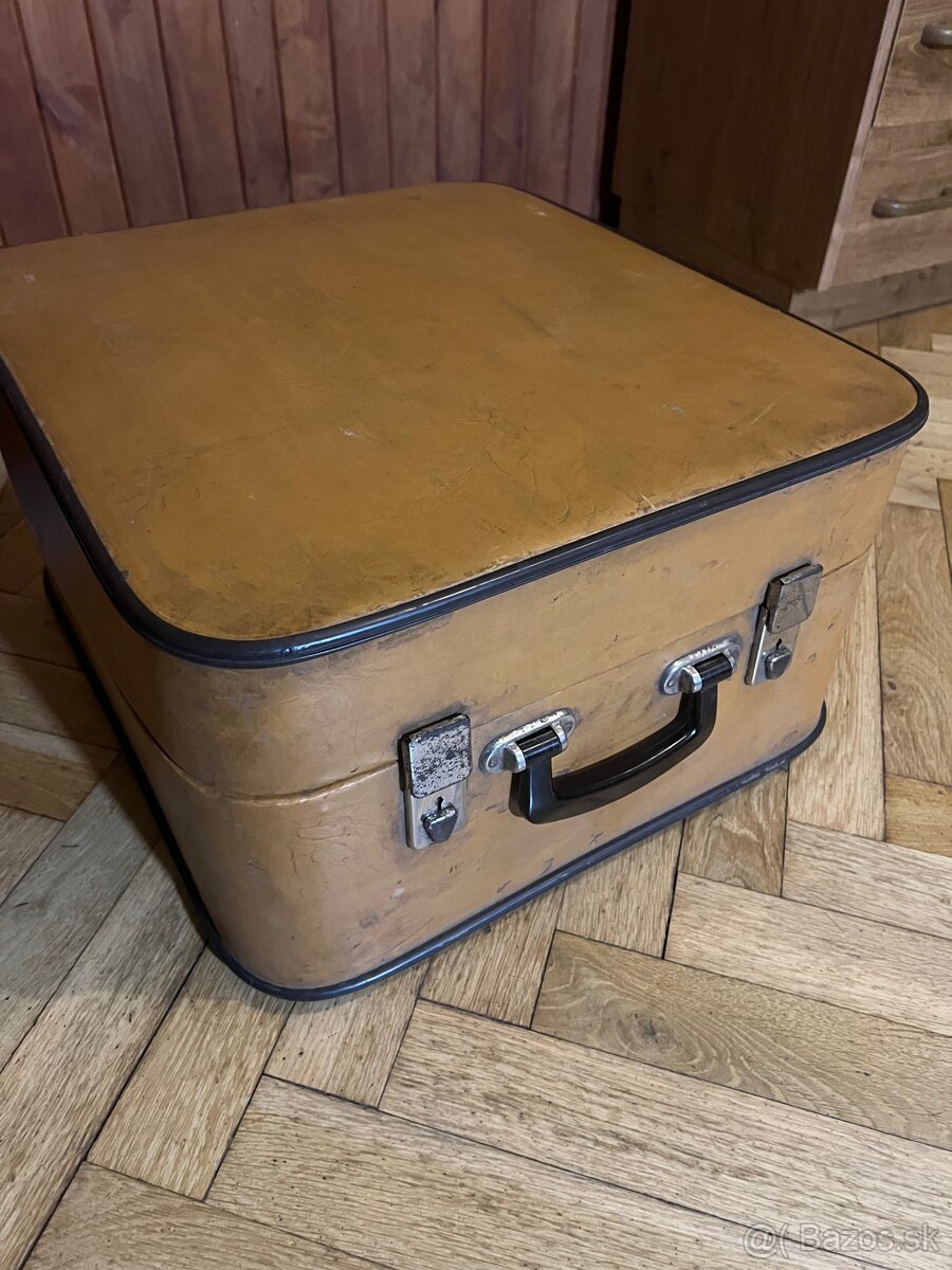 Heligonka delicia C-F - 3