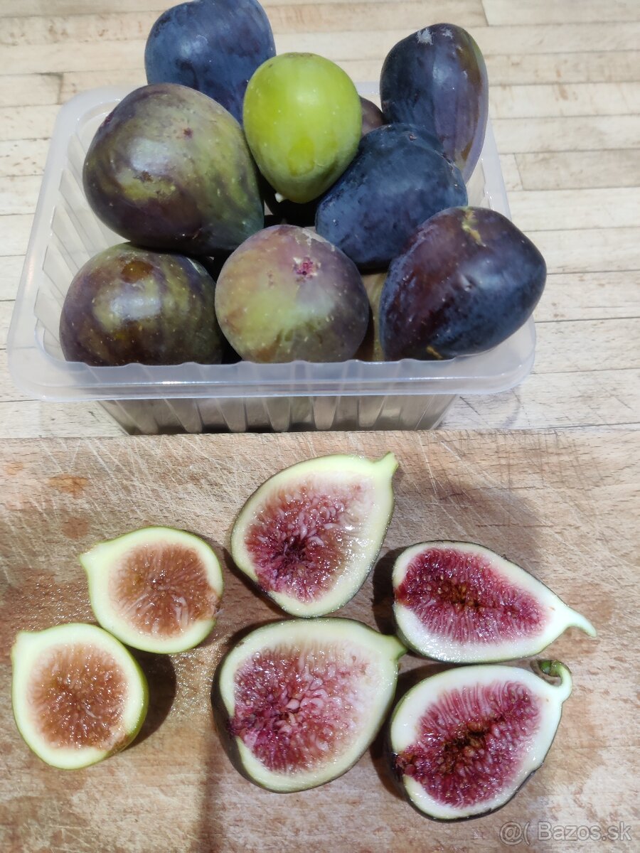 Vidiecky sen s dušou - 3