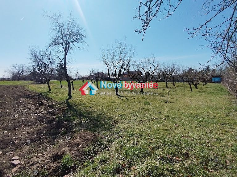 Predaj, pozemok - Plavé Vozokany (N011-14-MAHA) - 3