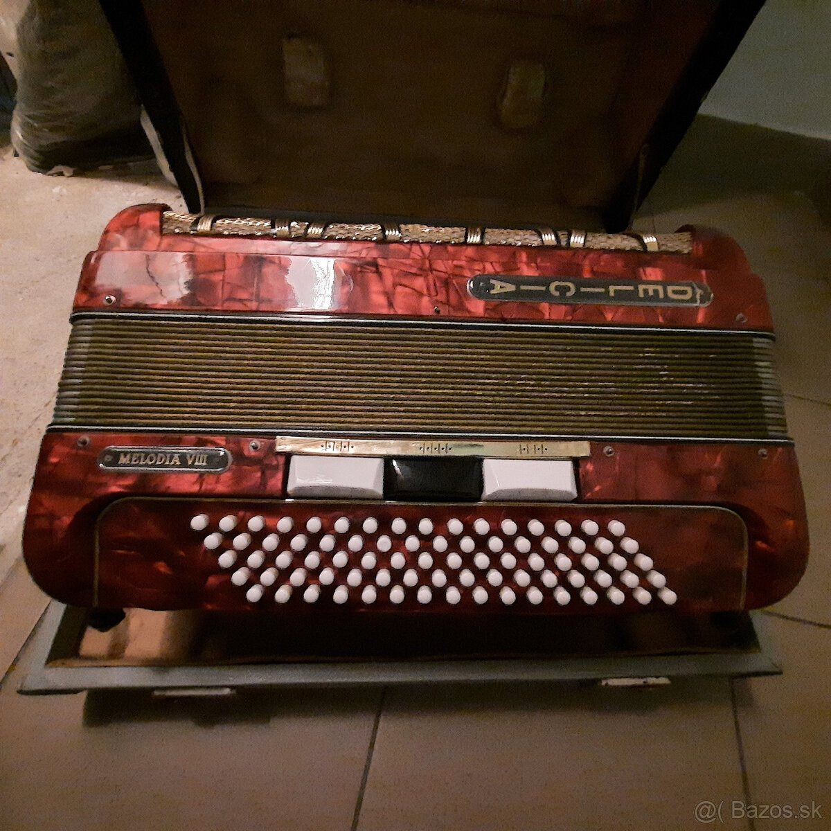 akordeón DELICIA - 3