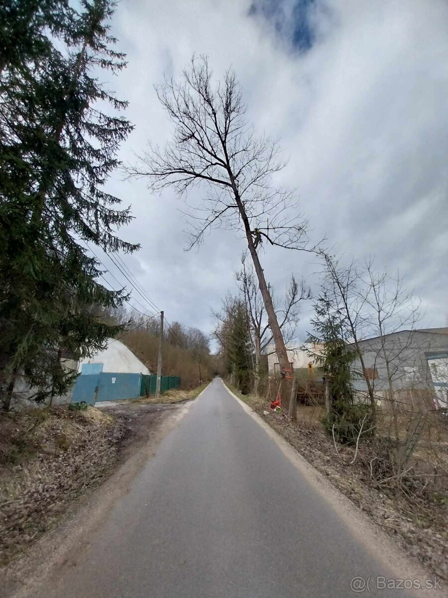 Rizikový výrub - 3