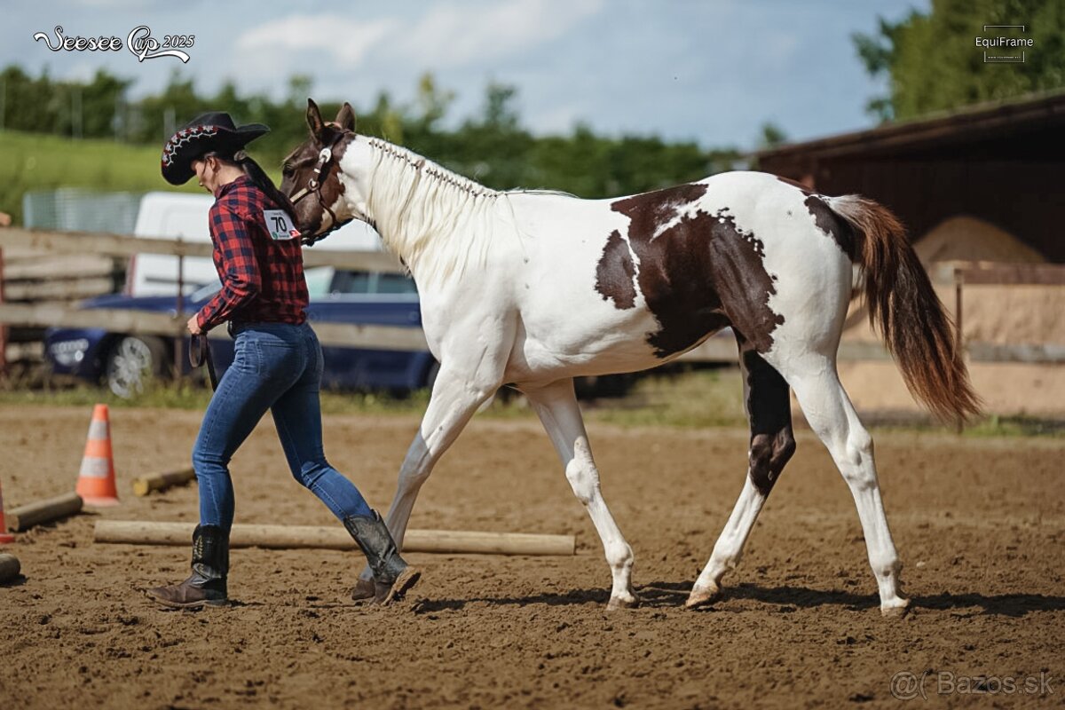 APH hřebeček 2024 - 3