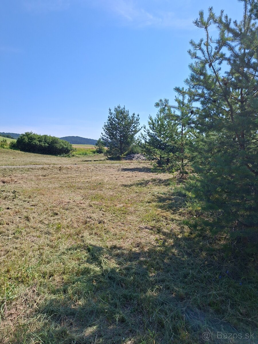 Mulčovanie trávy a pozemkov - 3