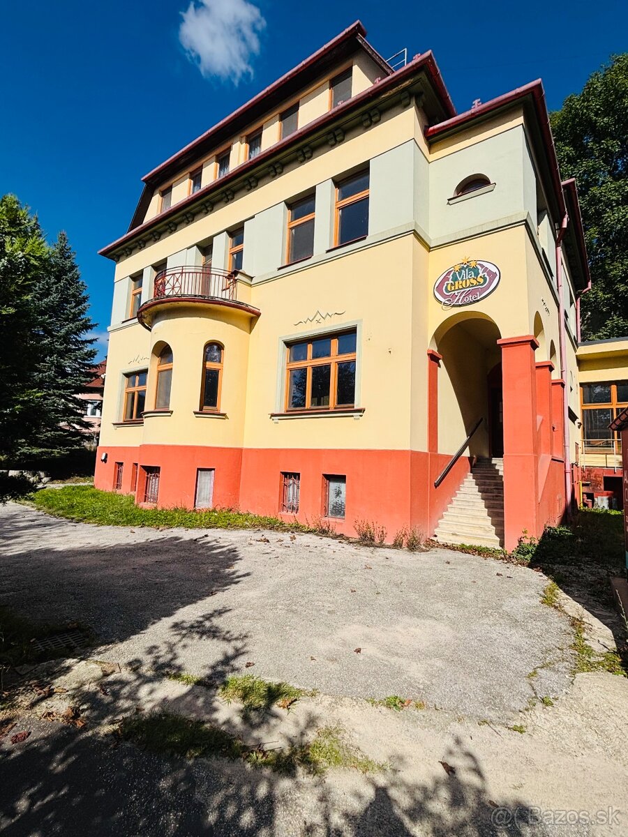 Vila Gross Likavka - 3