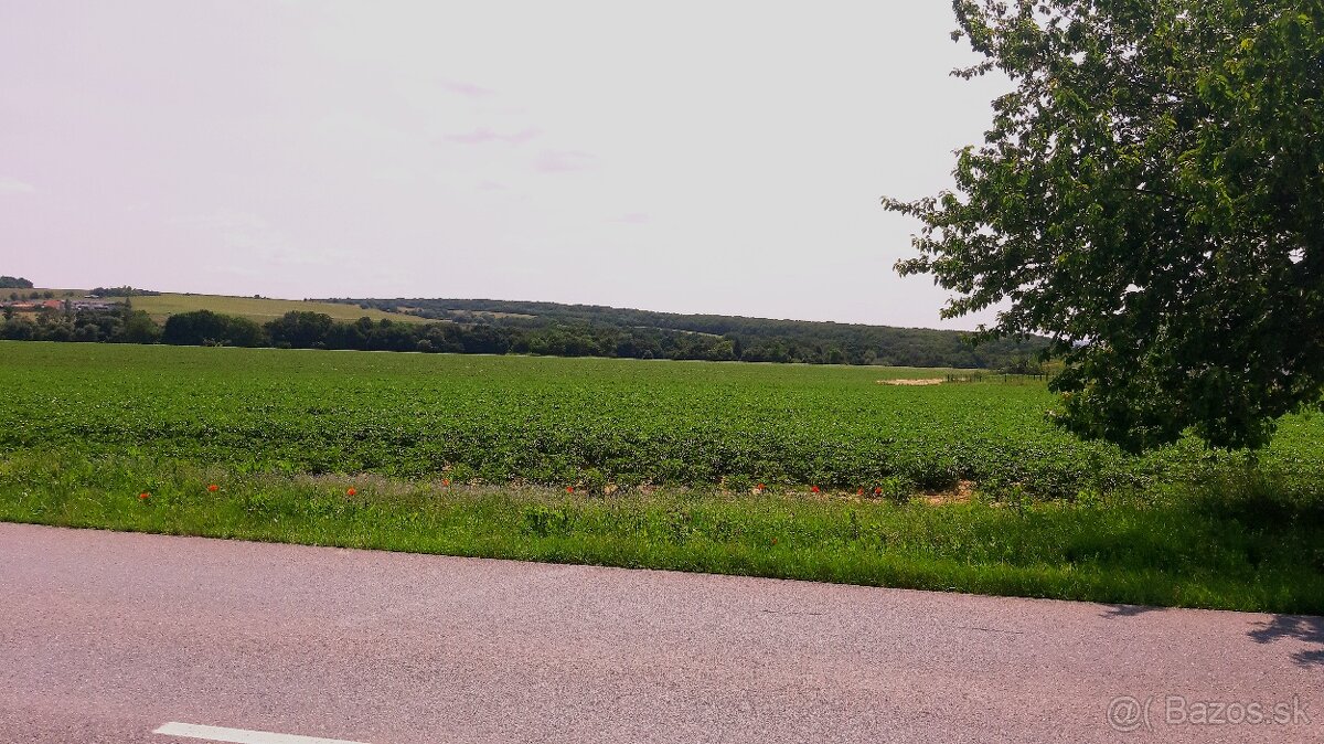 INVESTIČNÉ POZEMKY V ZÁBORSKOM - 3