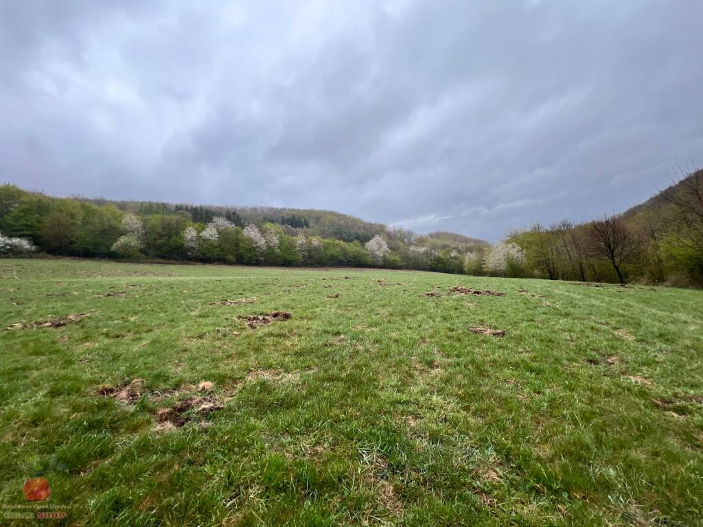 Ponúkam 11ha uceleného lesného pozemku s lúkami - 3