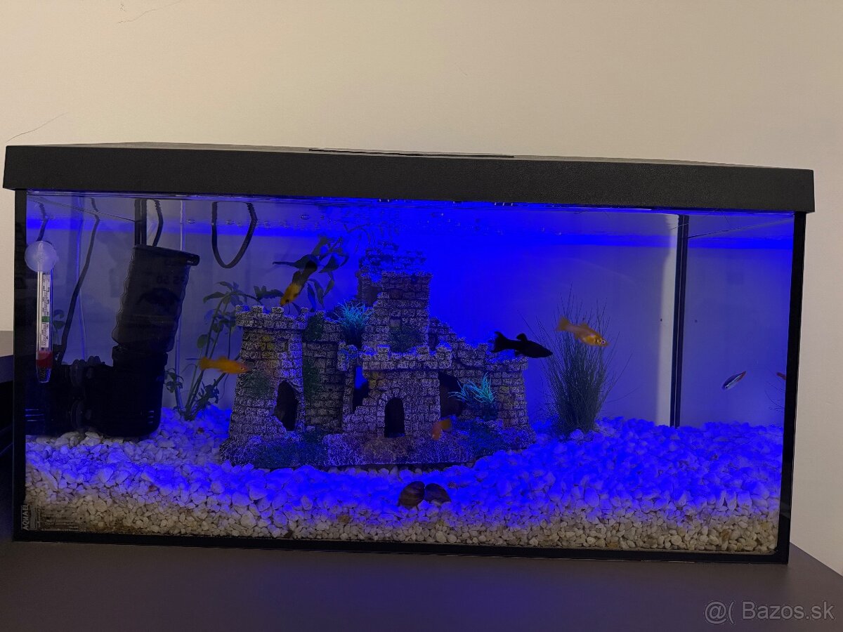 Predám komplet akvárium - 3