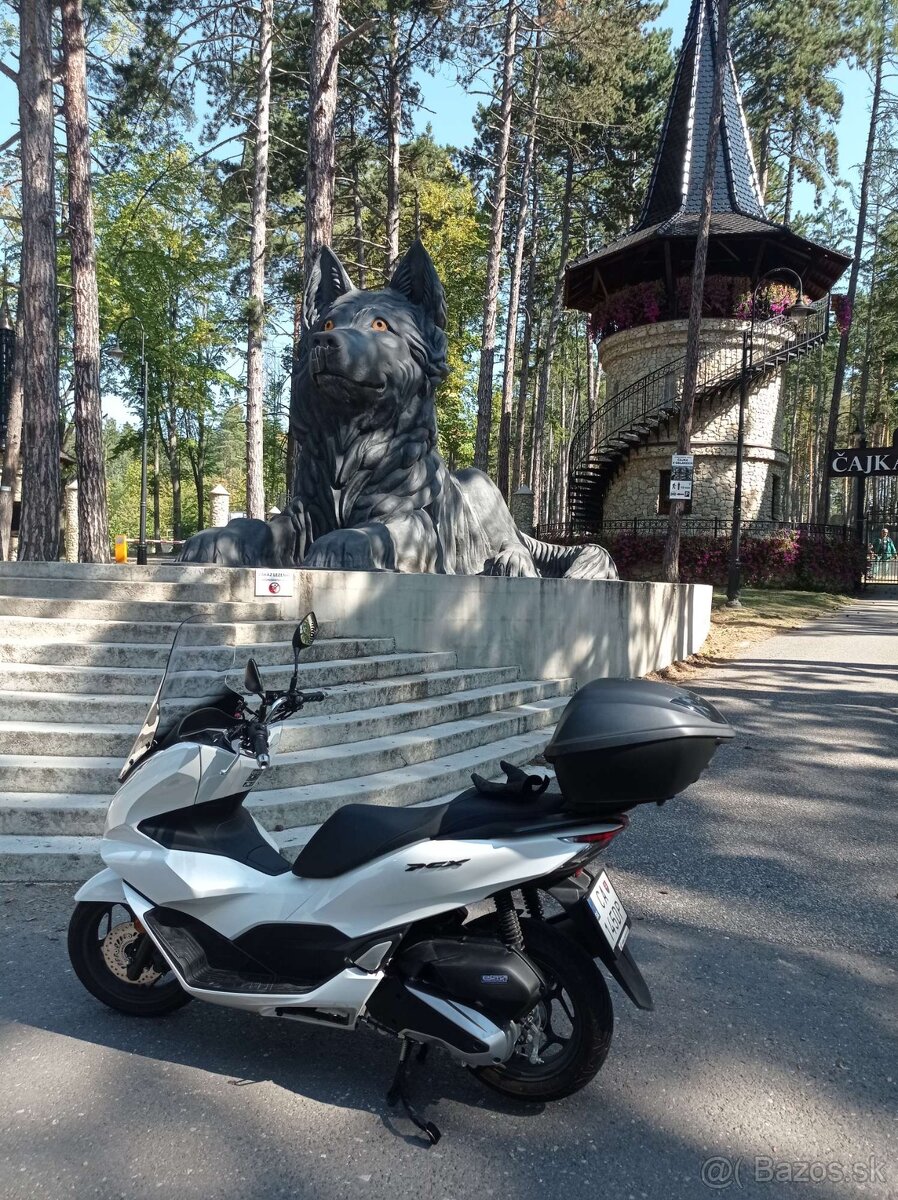 pcx 125 - 3