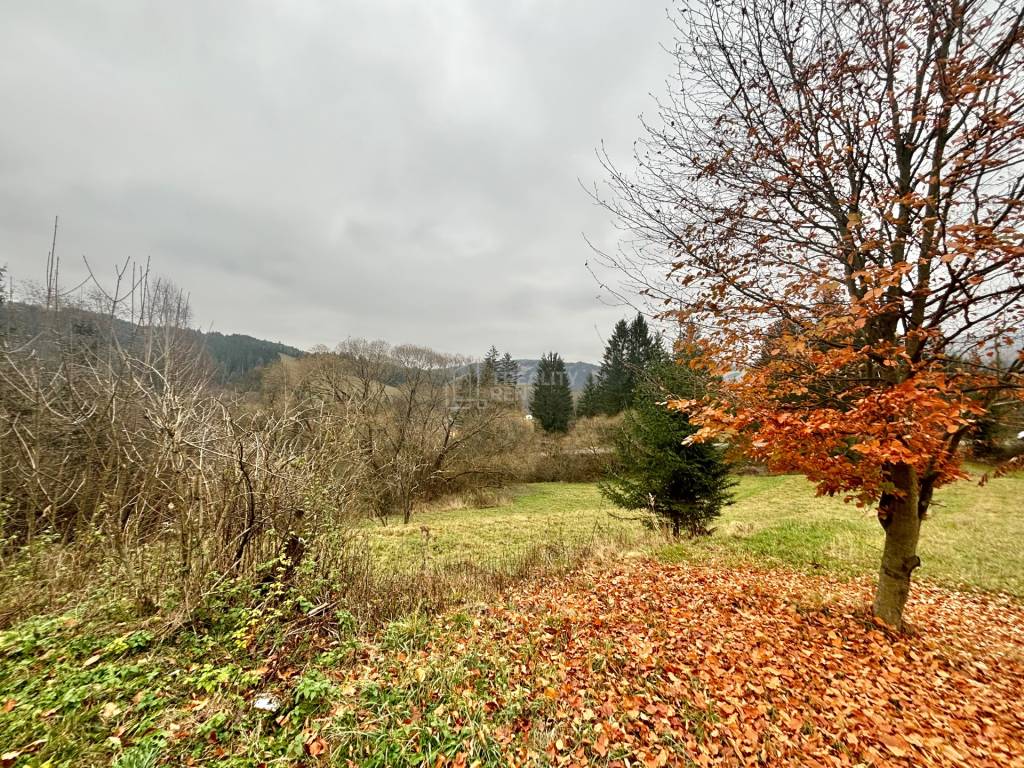 Predaj pozemku v pokojnej lokalite obce Olešná - 3