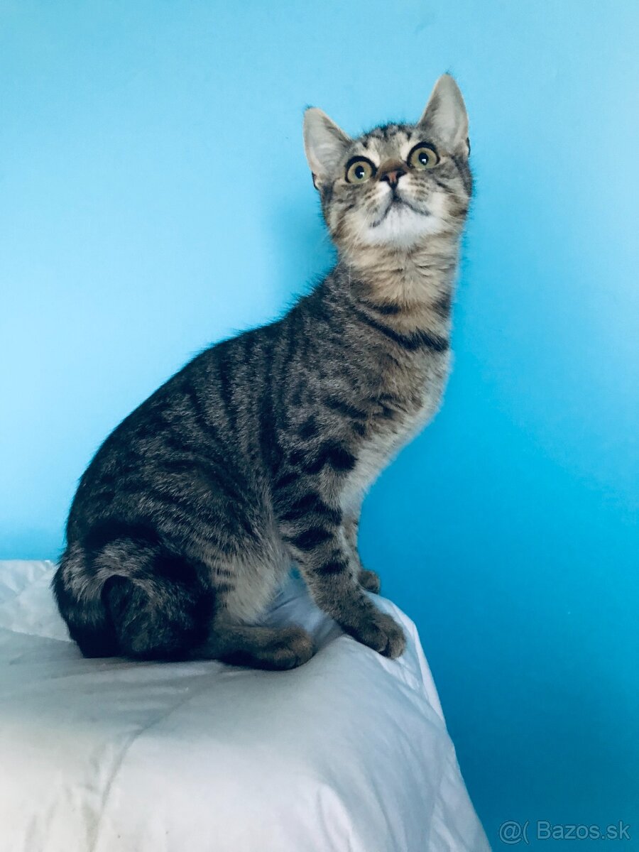 VERONIKA SI HĽADÁ DOMOV VO VNÚTRI - 3